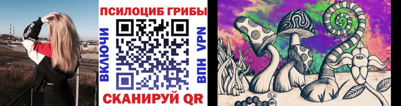 Псилоцибиновые грибы Psilocybe Купить закладки Печора